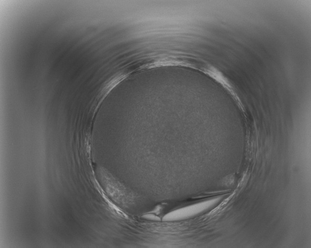 X0000058780809200510071607