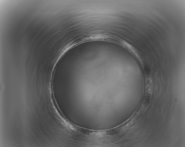 X0000058780810200510071607