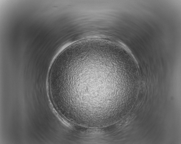 X0000058780811200510071607