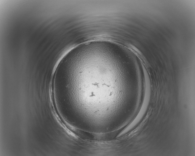 X0000058780812200510071607