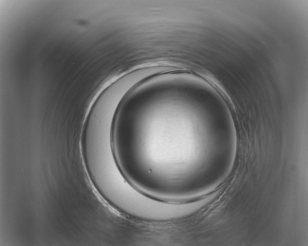 X0000058780813200510071607