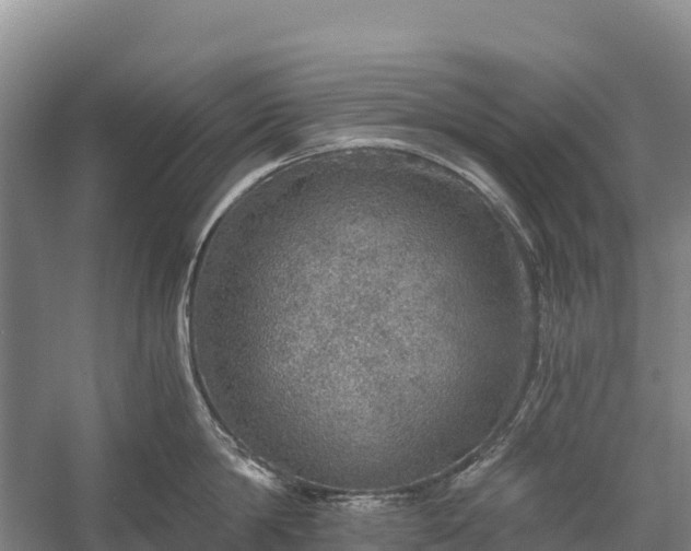 X0000058780814200510071607