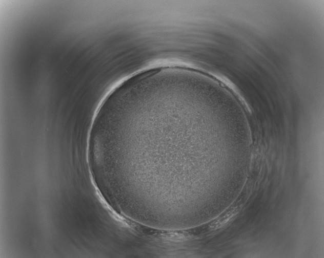 X0000058780815200510071607