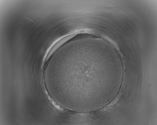 X0000058780816200510071607