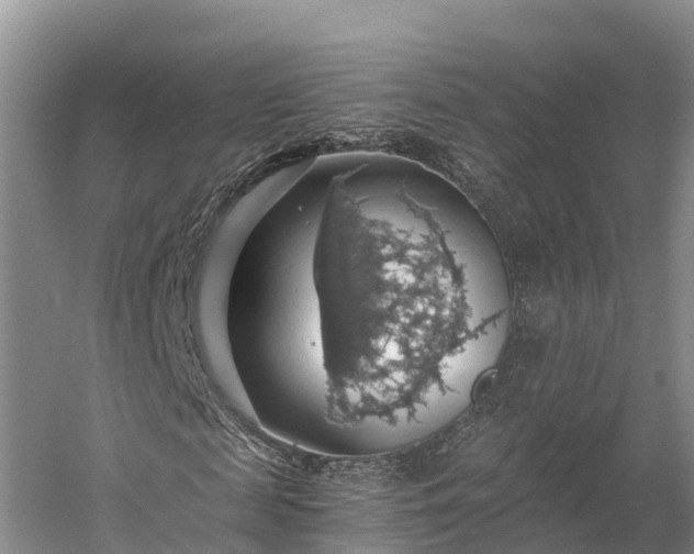 X0000058780817200510071606