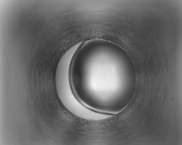 X0000058780818200510071606