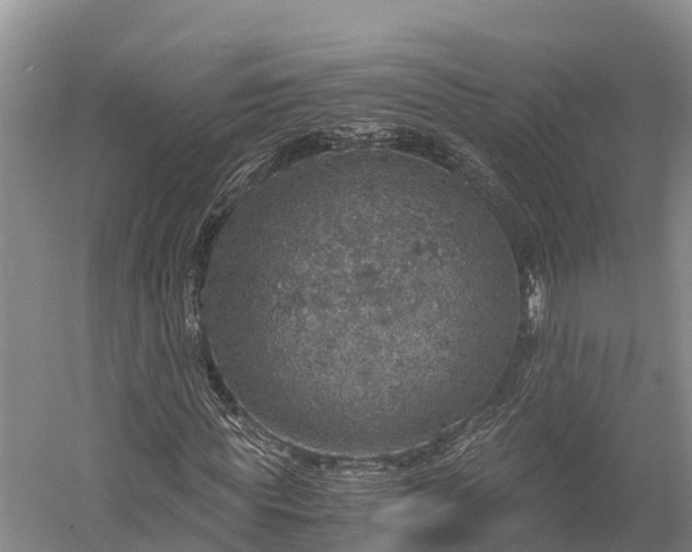 X0000058780819200510071606