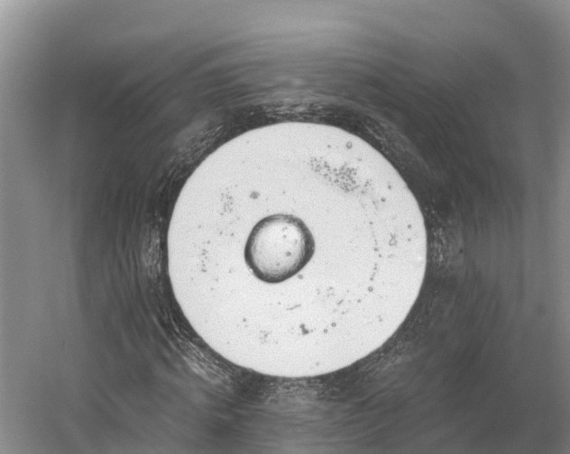 X0000058780820200510071606