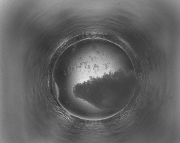 X0000058780823200510071606