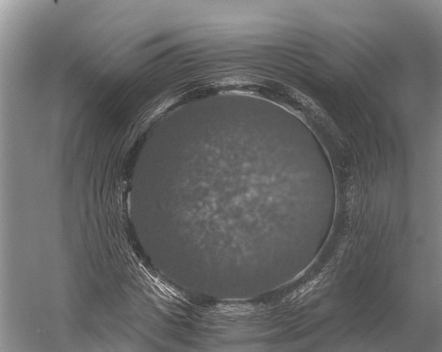 X0000058780825200510071606