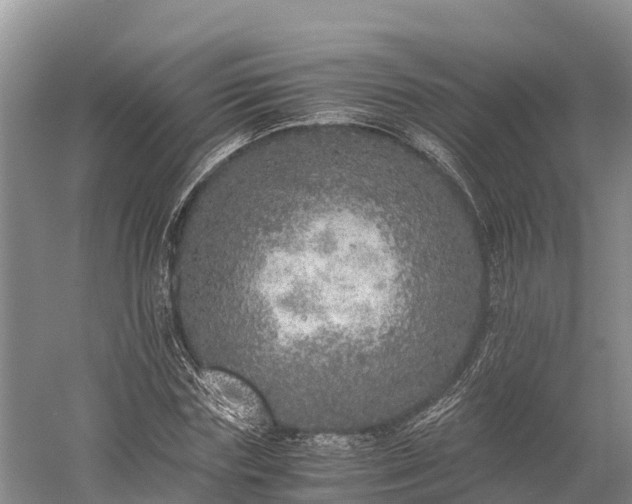 X0000058780827200510071606