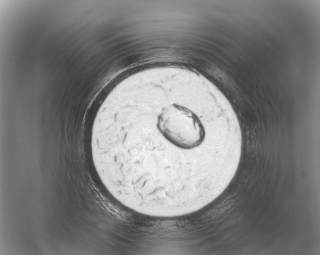 X0000058780828200510071606