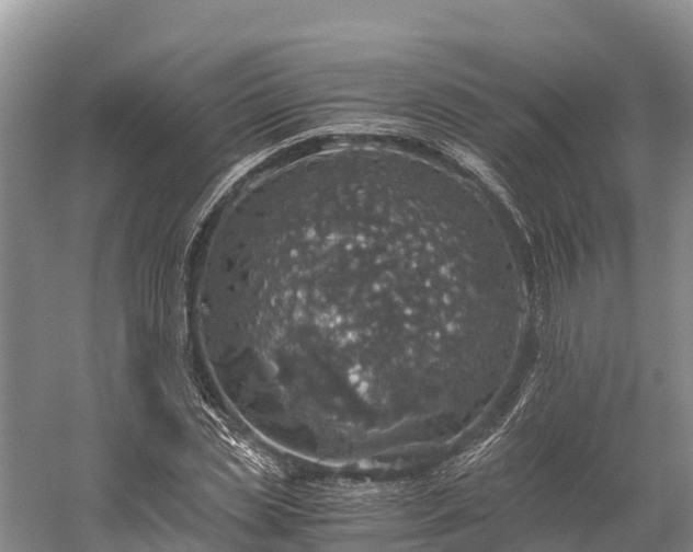 X0000058780829200510071606