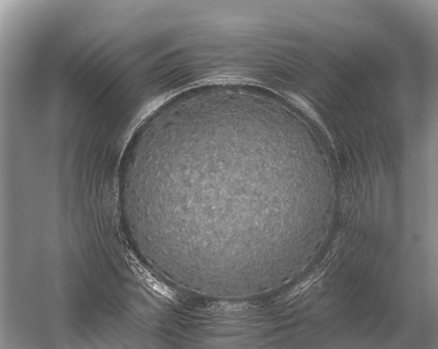 X0000058780831200510071606