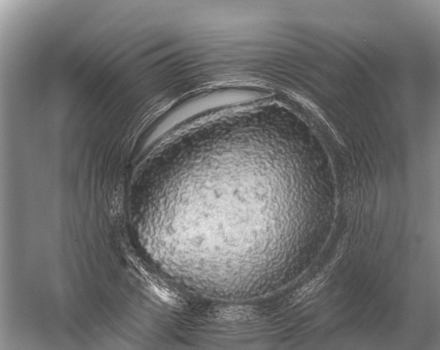 X0000058780833200510071606