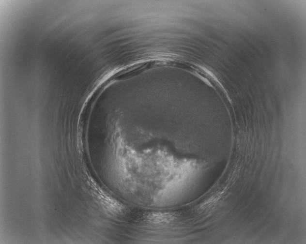 X0000058780835200510071606