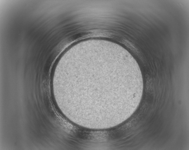 X0000058780836200510071606