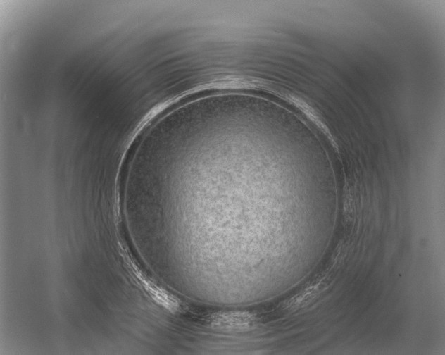 X0000058780837200510071606