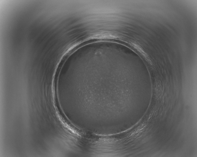 X0000058780840200510071607