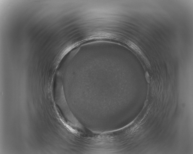 X0000058780842200510071607