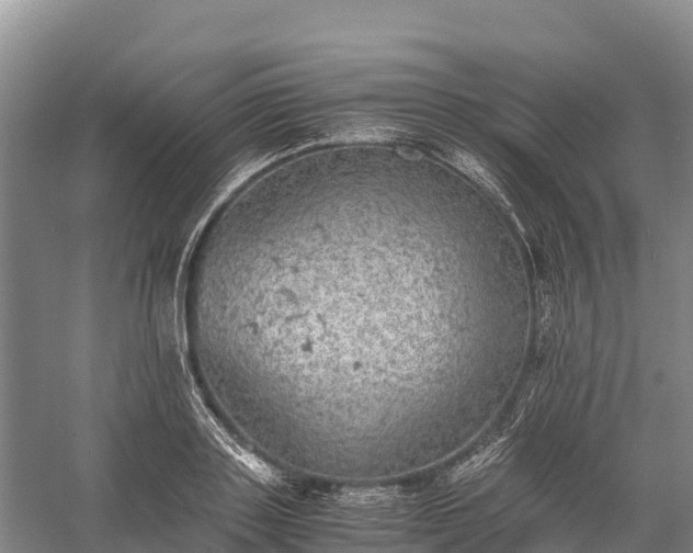 X0000058780843200510071607