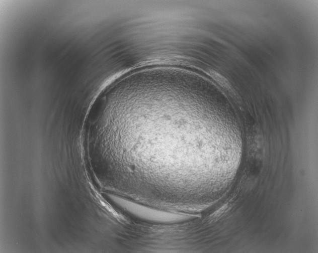 X0000058780846200510071607