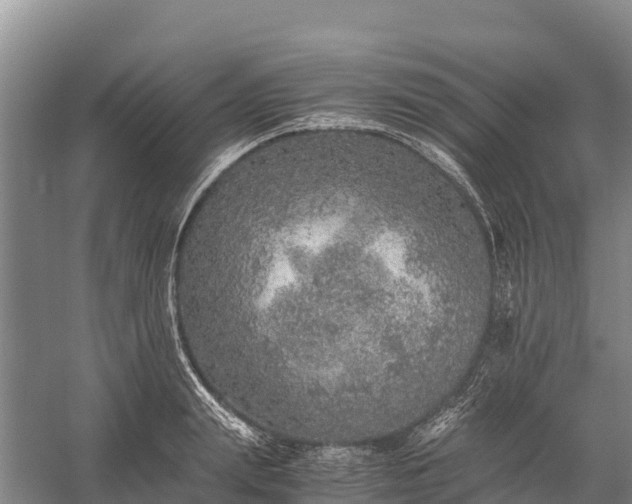 X0000058780847200510071607