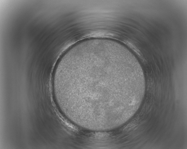 X0000058780848200510071607