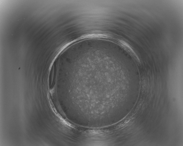 X0000058780852200510071607