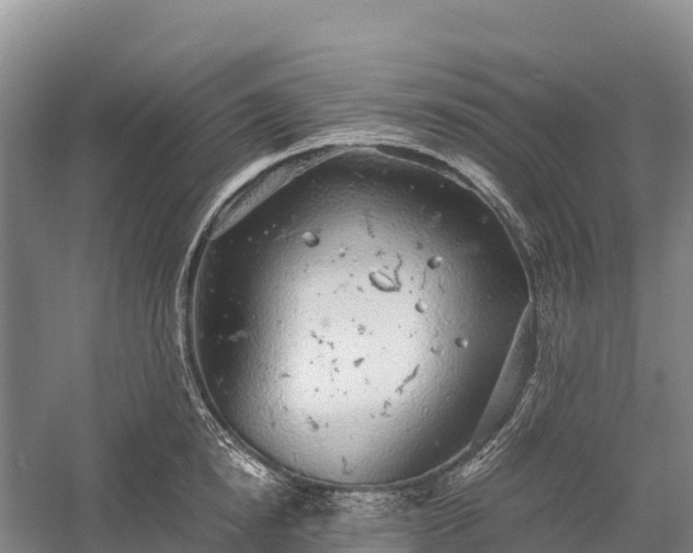 X0000058780854200510071607