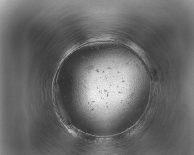 X0000058780858200510071607