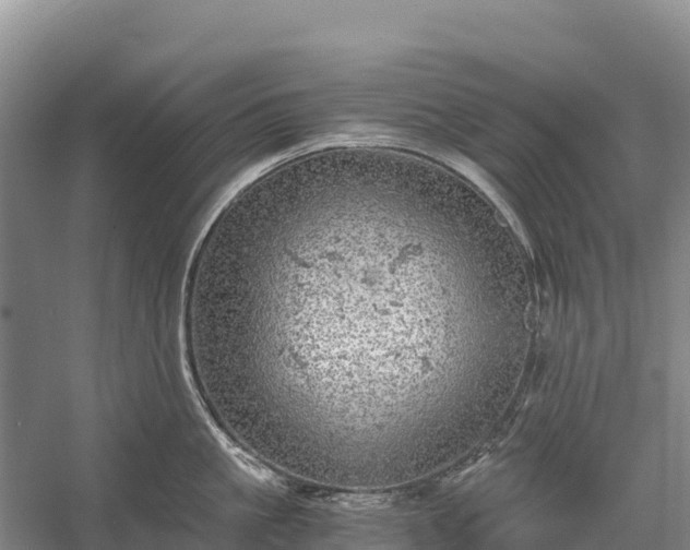 X0000058780861200510071607