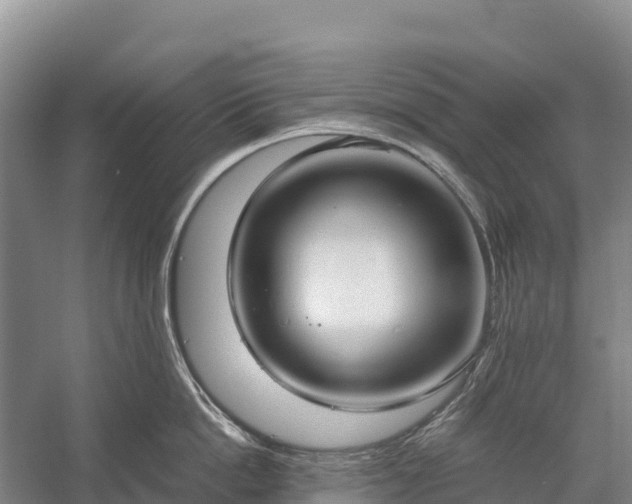 X0000058780862200510071607