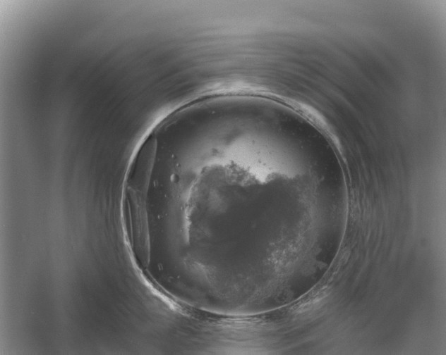 X0000058780863200510071607