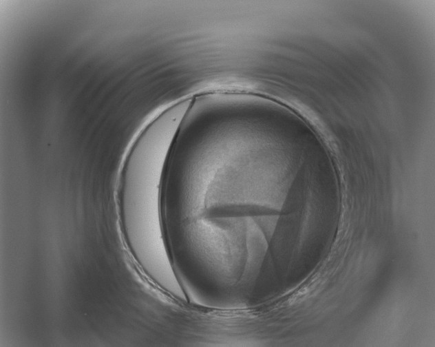 X0000058780864200510071607