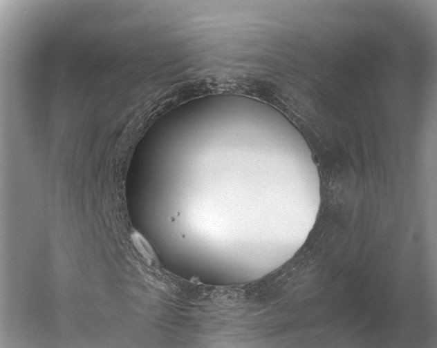 X0000058780865200510071606