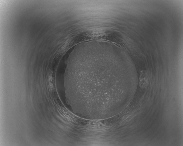 X0000058780866200510071606