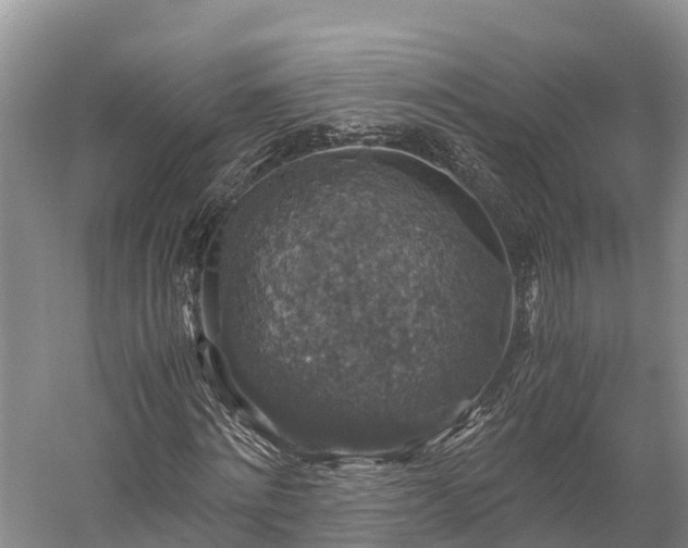 X0000058780868200510071606