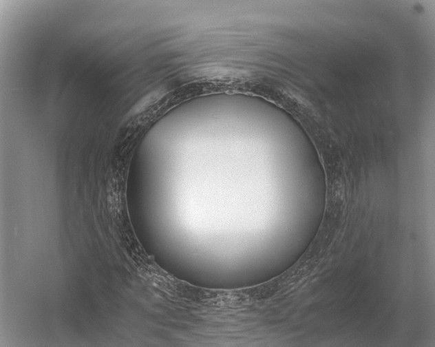 X0000058780869200510071606