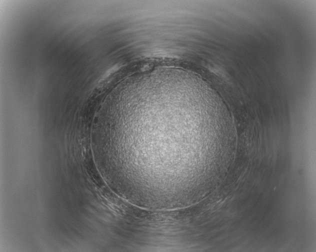 X0000058780870200510071606