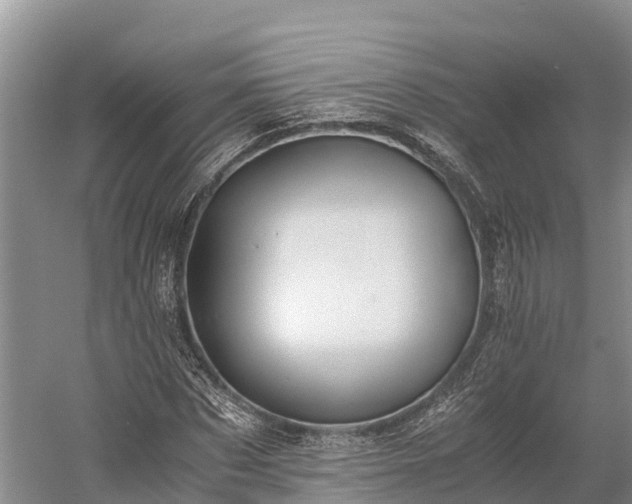 X0000058780873200510071606