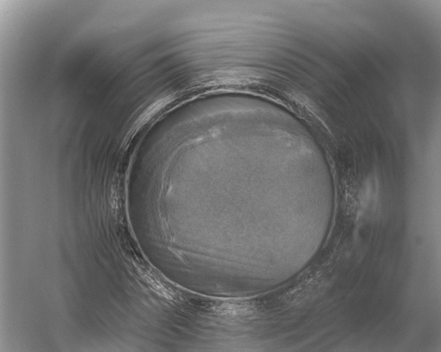 X0000058780874200510071606