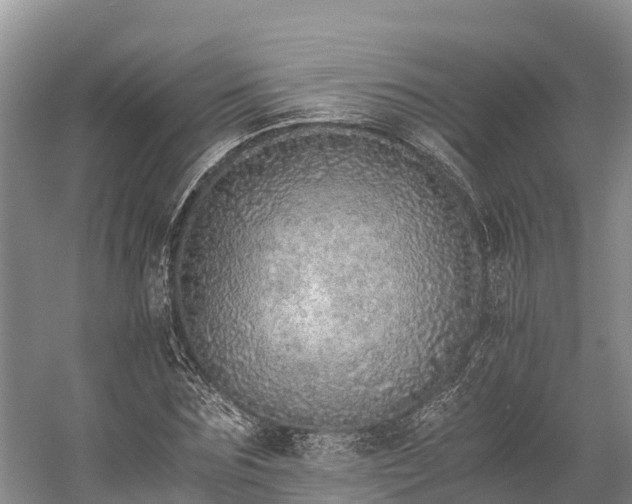 X0000058780875200510071606