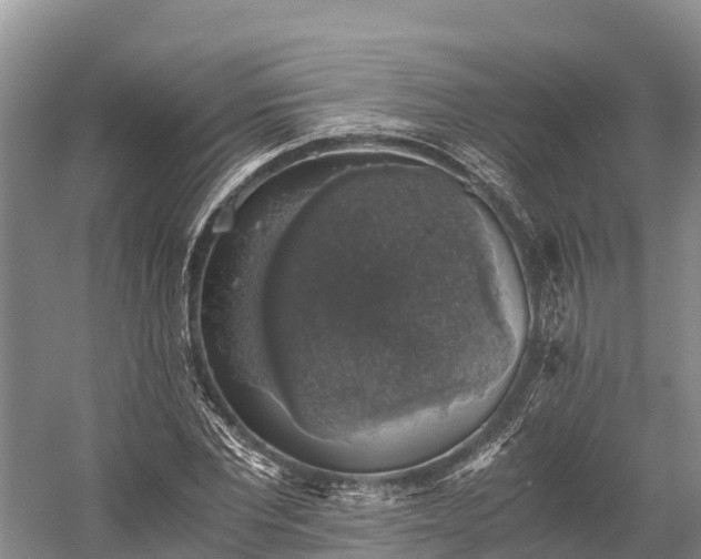 X0000058780877200510071606