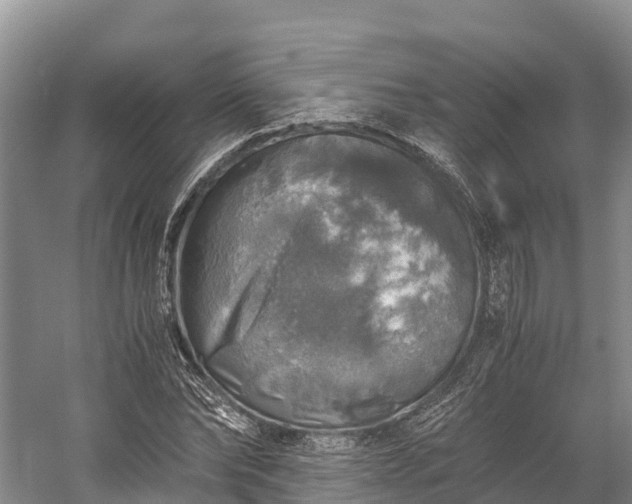 X0000058780878200510071606