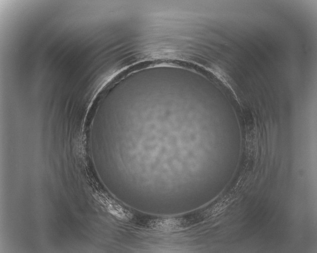 X0000058780879200510071606