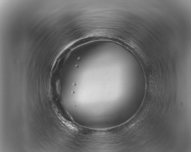 X0000058780880200510071606