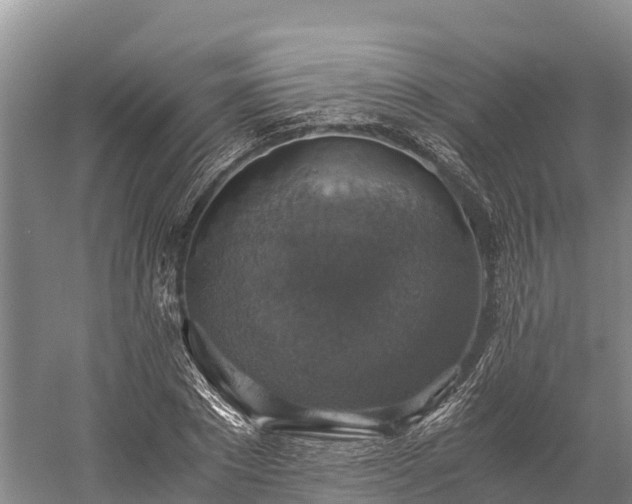 X0000058780881200510071606