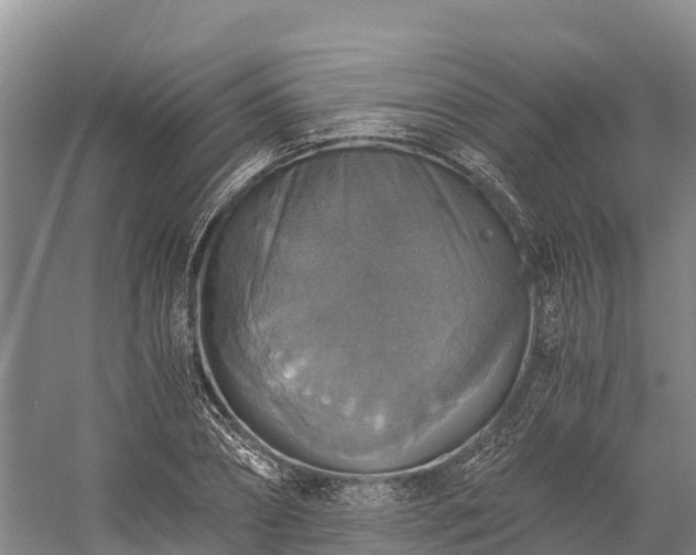 X0000058780882200510071606