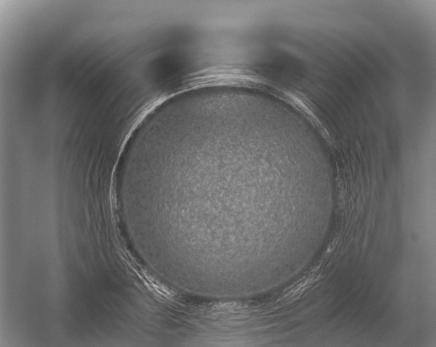 X0000058780883200510071606